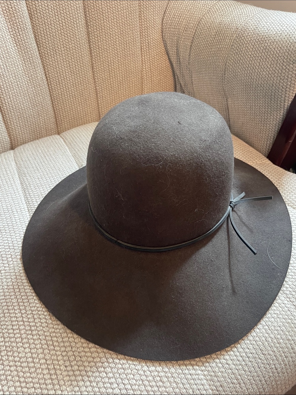 Aritzia Wide-Brim Wool Floppy Hat in Dark Brown